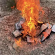 Illustration for article titled BangBros buys porn doxxing site, torches hard drives in the sites first SFW video